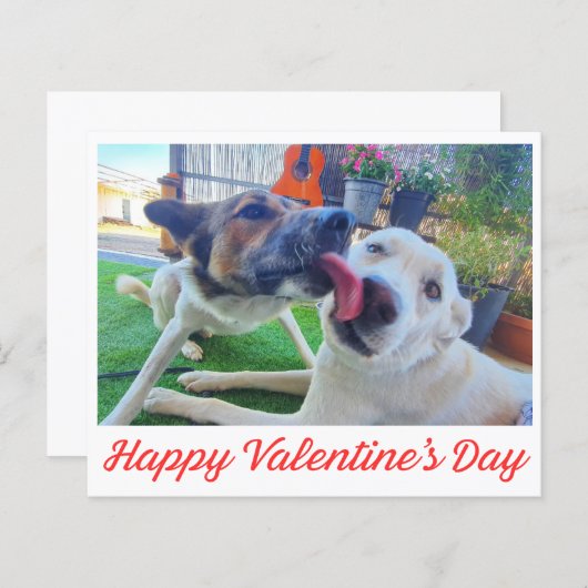ハッピーバレンタインデーかわいい犬の写真のホリデーカード (正面/裏面)