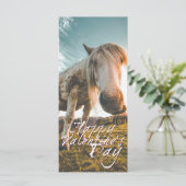 ハッピーバレンタインデーと見た馬 (スタンド正面)