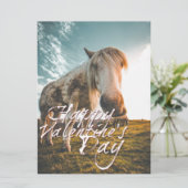 ハッピーバレンタインデーと見た馬 (スタンド正面)