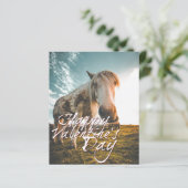 ハッピーバレンタインデーと見た馬 (スタンド正面)