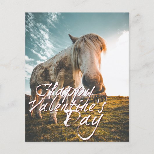 ハッピーバレンタインデーと見た馬 (正面)