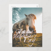 ハッピーバレンタインデーと見た馬 シーズンポストカード (正面/裏面)