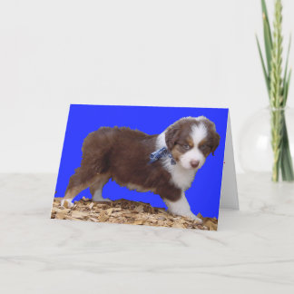 ハッピーバレンタインデーのオーストラリア人 シーズンカード