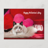 ハッピーバレンタインデーはがき シーズンポストカード (正面)