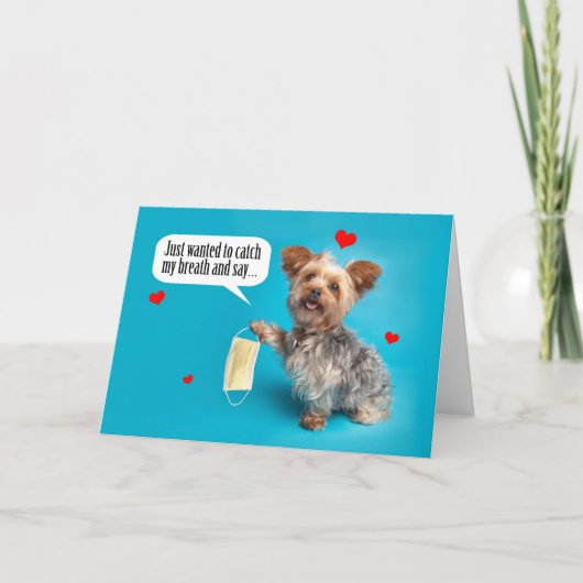 ハッピーバレンタインデーカウトヨークシャーテリアドッグイン顔マス シーズンカード (正面)