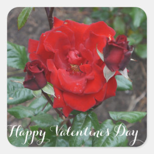 ハッピーバレンタインデークリムゾンブーケ#1シール スクエアシール
