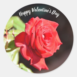ハッピーバレンタインデーバラシール ラウンドシール