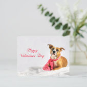 ハッピーバレンタインデーピットブル子犬 シーズンポストカード (スタンド正面)
