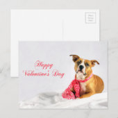 ハッピーバレンタインデーピットブル子犬 シーズンポストカード (正面/裏面)