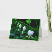 ハッピーバレンタインデーホワイトハート シーズンカード (裏面)