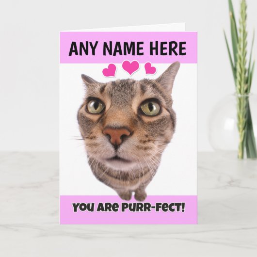 ハッピーバレンタインデー名前をカスタムするかわいい猫ネコ シーズンカード (正面)