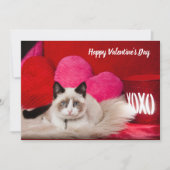 ハッピーバレンタインデー猫フラットカード シーズンカード (正面)