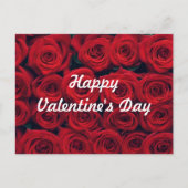 ハッピーバレンタインデー鮮やかレッドローズ シーズンポストカード (正面)