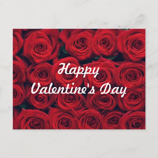ハッピーバレンタインデー鮮やかレッドローズ シーズンポストカード (正面)
