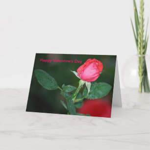 ハッピーバレンタインデー シーズンカード