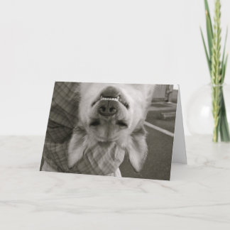 ハッピーバレンタインデー シーズンカード