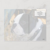 ハッピーバレンタインデー シーズンポストカード (裏面)