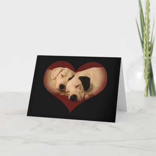 ハッピーバレンタインデー、蜂蜜! シーズンカード (正面)