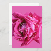 ハッピーバレンタインホットピンクバラフローラボホグラム シーズンカード (正面/裏面)