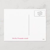 ハッピーバレンタインポストカード シーズンポストカード (裏面)