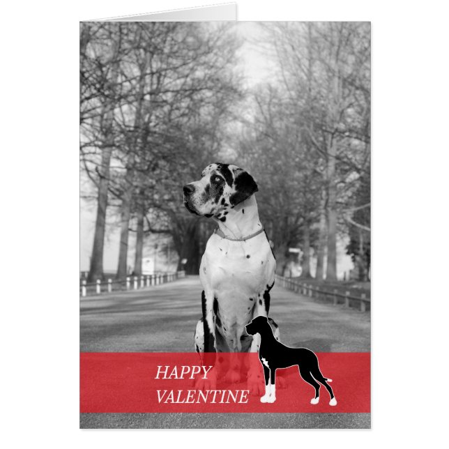 ハッピーバレンタイン (正面)