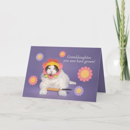 ハッピーバースデーおばあちゃん猫インフラワーハット シーズンカード (正面)