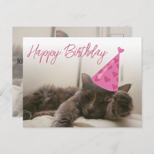 ハッピーバースデーおもしろいのかわいい猫 ポストカード (正面/裏面)