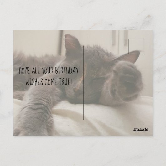 ハッピーバースデーおもしろいのかわいい猫 ポストカード (裏面)