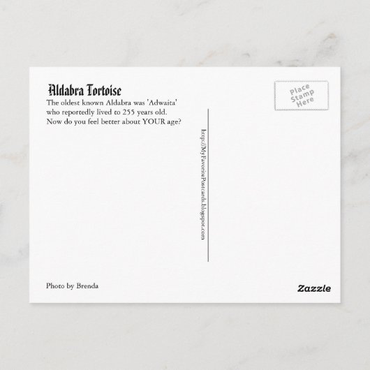 ハッピーバースデーおもしろいはがき(旧亀つき)。 ポストカード (裏面)