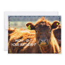 ハッピーバースデーおもしろいカントリーメールテイルズfrom Farm