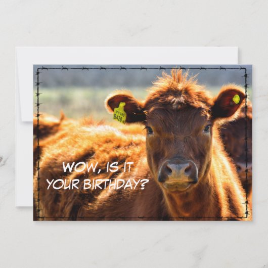 ハッピーバースデーおもしろいカントリーメールテイルズfrom Farm シーズンカード (正面)