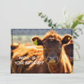 ハッピーバースデーおもしろいカントリーメールテイルズfrom Farm シーズンカード (スタンド正面)