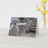 ハッピーバースデーおもしろいヤート カード (黄色い花)