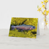 ハッピーバースデーから古いマス カード (黄色い花)