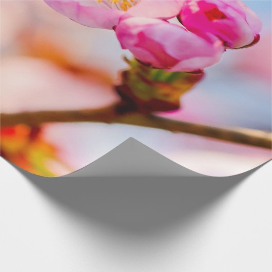 ハッピーバースデーから桜さくらんぼ花 ラッピングペーパー (角)