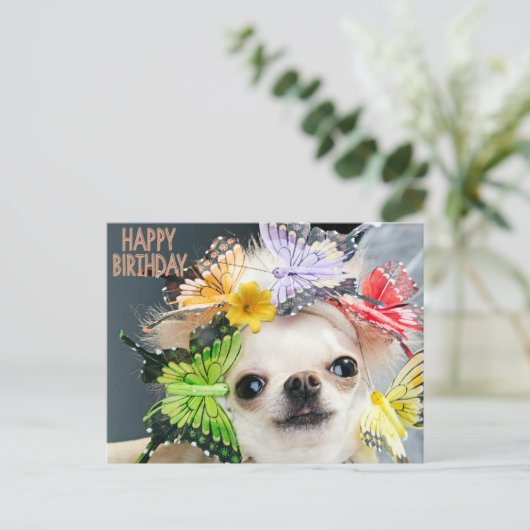 ハッピーバースデーかわいいおもしろい犬 シーズンポストカード (スタンド正面)
