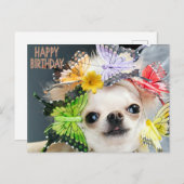 ハッピーバースデーかわいいおもしろい犬 シーズンポストカード (正面/裏面)