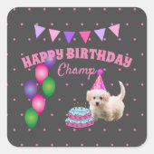 ハッピーバースデーかわいい犬とケーキ水玉模様 スクエアシール (正面)