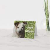 ハッピーバースデーかわいい犬の折り返しグリーティングカード カード (正面)