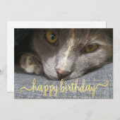 ハッピーバースデーかわいい猫の写真金ゴールド書 招待状 (正面/裏面)