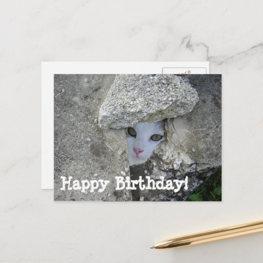 ハッピーバースデーかわいい猫隠し ポストカード (正面/裏面インサイチュ)