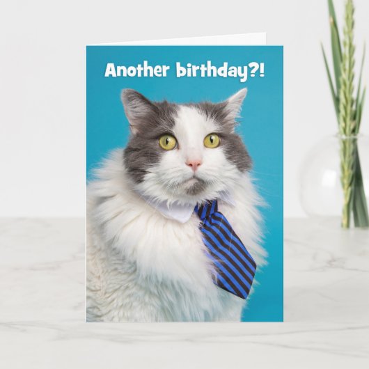 ハッピーバースデーかわいい缶ネクタイ シーズンカード (正面)