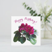 ハッピーバースデーかわいらしピンクの花スタイリッシュフローラ シーズンカード (スタンド正面)