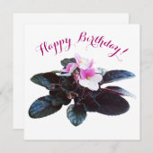 ハッピーバースデーかわいらしピンクの花スタイリッシュフローラ シーズンカード (正面/裏面)