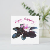 ハッピーバースデーかわいらしピンクの花スタイリッシュフローラ シーズンカード (スタンド正面)
