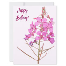 ハッピーバースデーかわいらしピンク野花フローラ