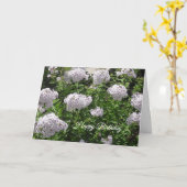 ハッピーバースデーかわいらし白と紫の花 カード (黄色い花)