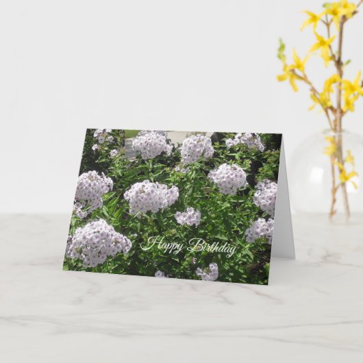 ハッピーバースデーかわいらし白と紫の花 カード (黄色い花)