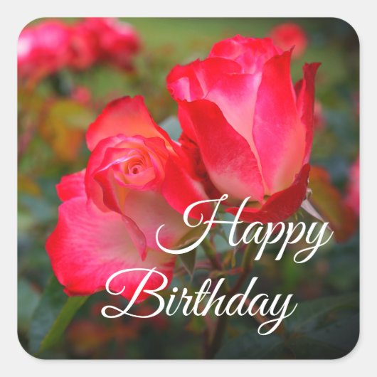 ハッピーバースデーさくらんぼパルフェバラ#4-2ステッカー スクエアシール (正面)