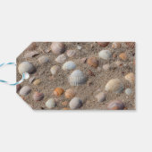 ハッピーバースデーとビーチ写真で貝殻 ギフトタグ (裏面横)